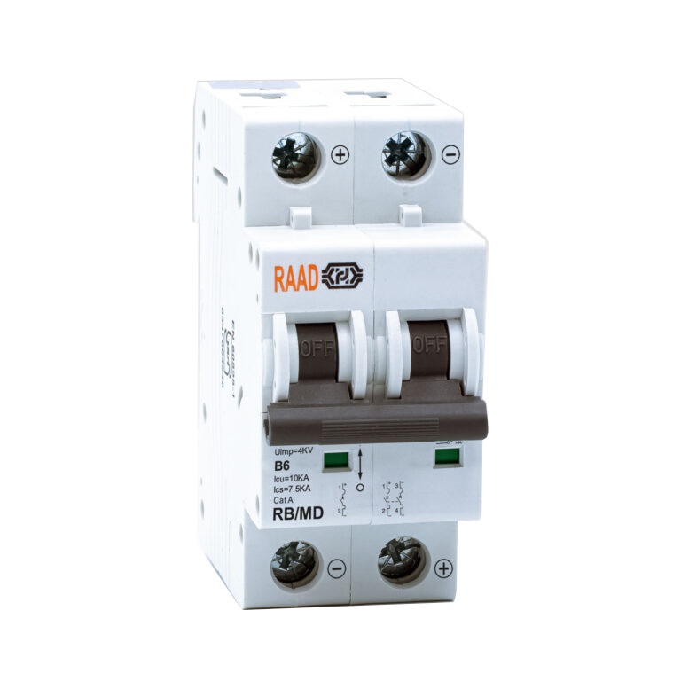 کلید مینیاتوری 2 پل 6 آمپر RB-MD-2P-B06-10KA رعد