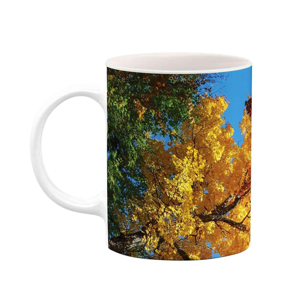 ماگ طرح پاییز مدل mug03869