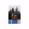 برچسب پوششی ماهوت مدل Equestrianism مناسب برای تبلت سامسونگ Galaxy Tab S2 8.0 2016 T719N