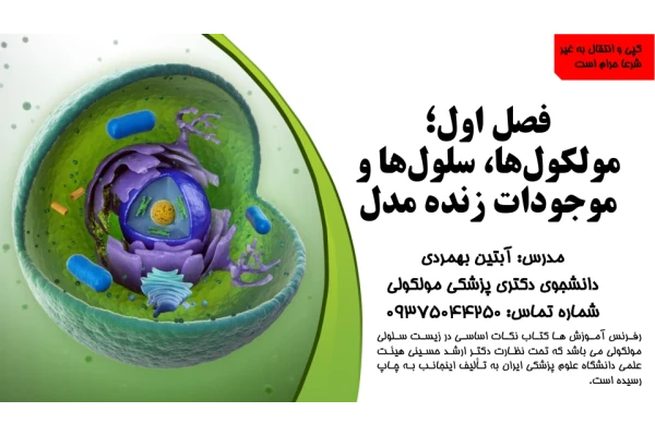 فصل اول سلولی مولکولی لودیش 🔬 - کتابخانه مجازی واتیکان
