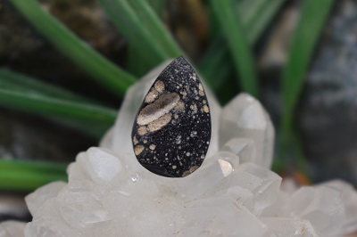 تکتیت طبیعی