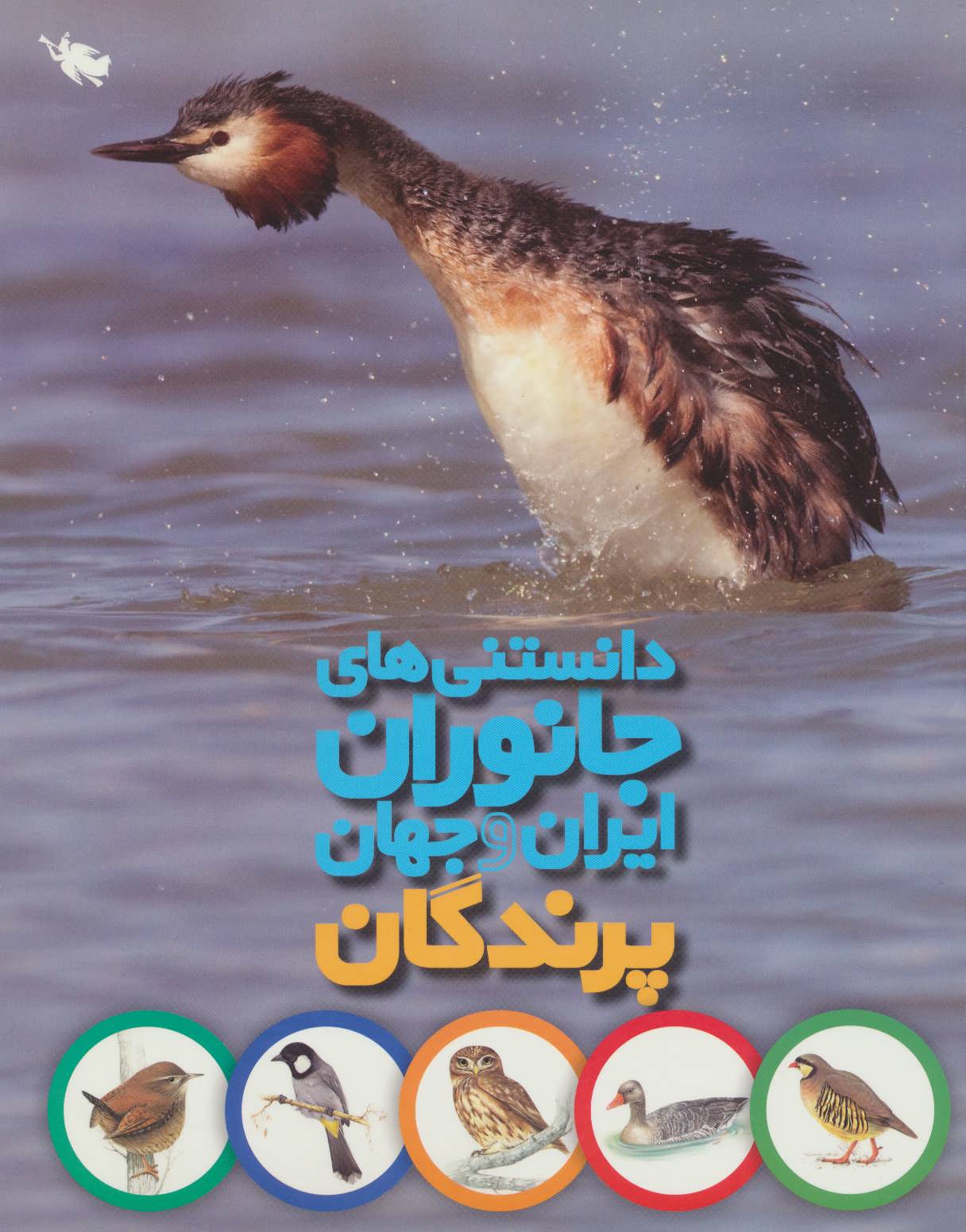 دانستنی های جانوران ایران و جهان (پرندگان) - کتابفروشی کوچه کتاب