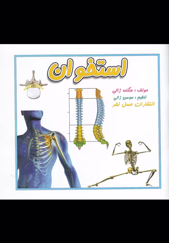 کتاب استخوان اثر هنگامه ژالی