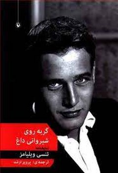 گربه روی شیروانی داغ | مرکز فرهنگی آبی