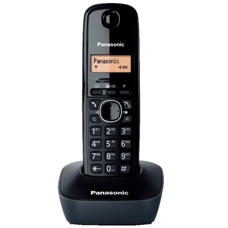 تلفن بی سیم Panasonic KX-TG1611   گارانتی