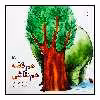كتاب هم قصه هم نقاشي اثر منصوره صابري انتشارات کانون پرورش فکری کودکان و نوجوانان
