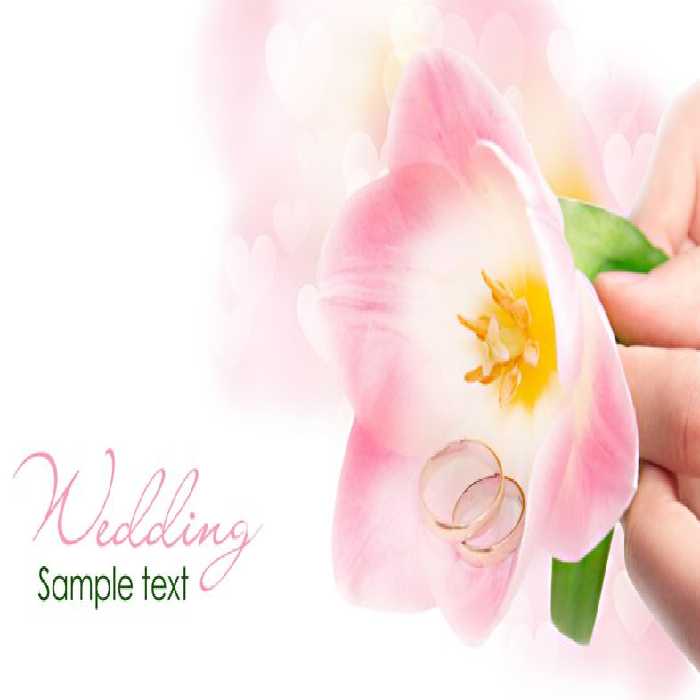 خرید و دانلود عکس Flower-Part-9 کد 18366 | پیک فاکس | Pic Fox