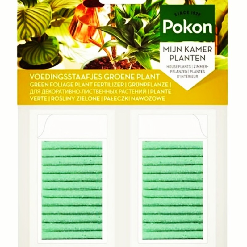 کود قلمی  24 برگ پوکون هلند