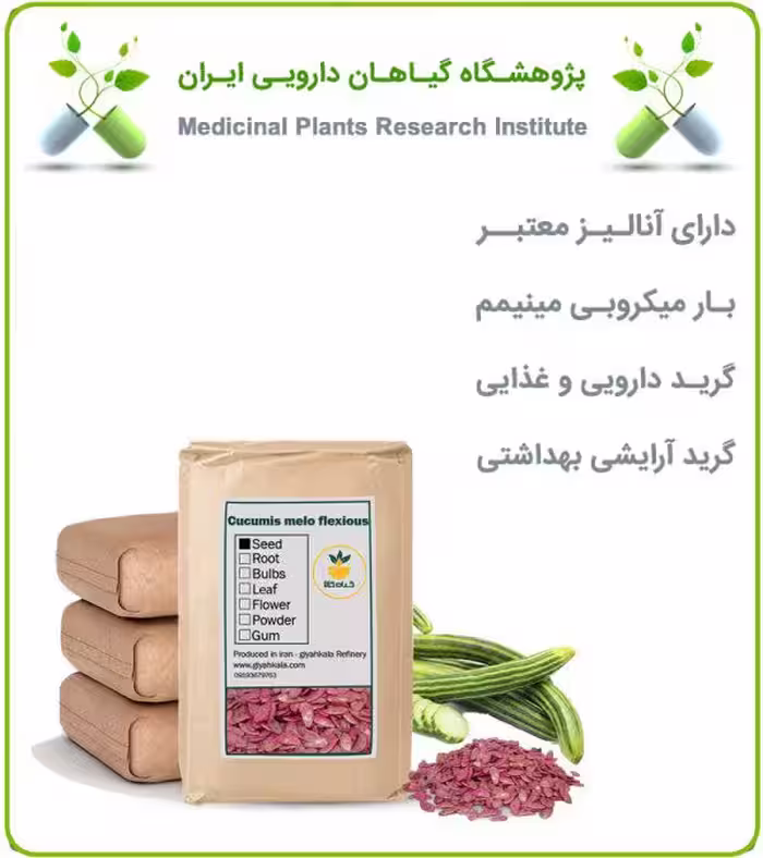 بذر خیار چنبر خشک فله