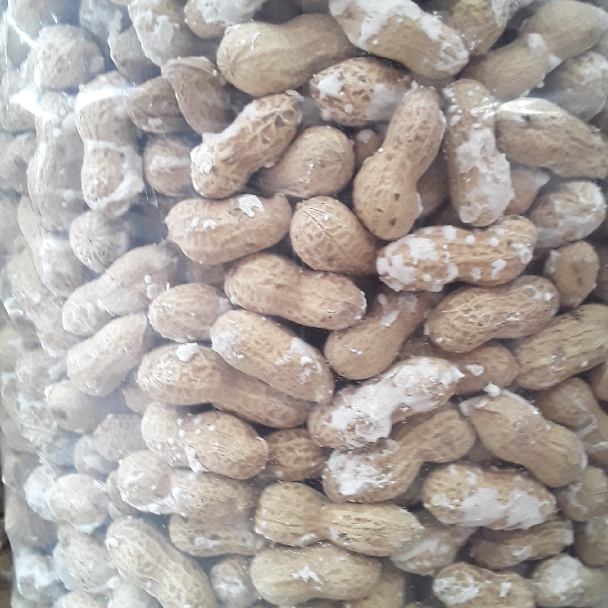 بادام زمینی پوستی استانه اشرفیه خوش طعم ونمکی درجه یک 