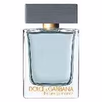 ادو تویلت مردانه DOLCE and GABBANA The One Gentleman حجم 50 میلی لیتر