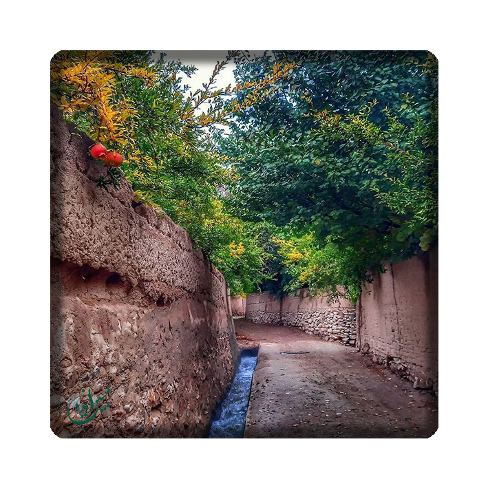 کاشی مبین ایده مدل سنتی kh10 کد 837