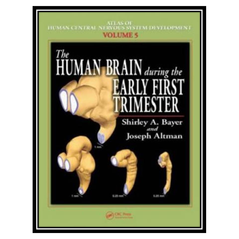 کتاب The Human Brain During the Early First Trimester اثر Shirley A Bayer and Joseph Altman انتشارات مؤلفین طلایی