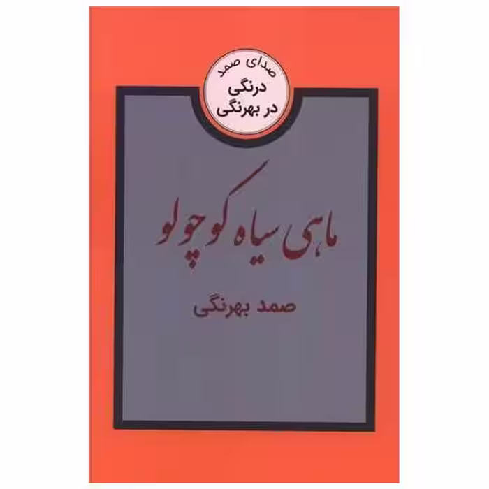 کتاب ماهی سیاه کوچولو اثر صمد بهرنگی