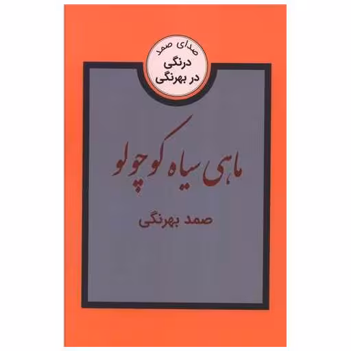 کتاب ماهی سیاه کوچولو اثر صمد بهرنگی