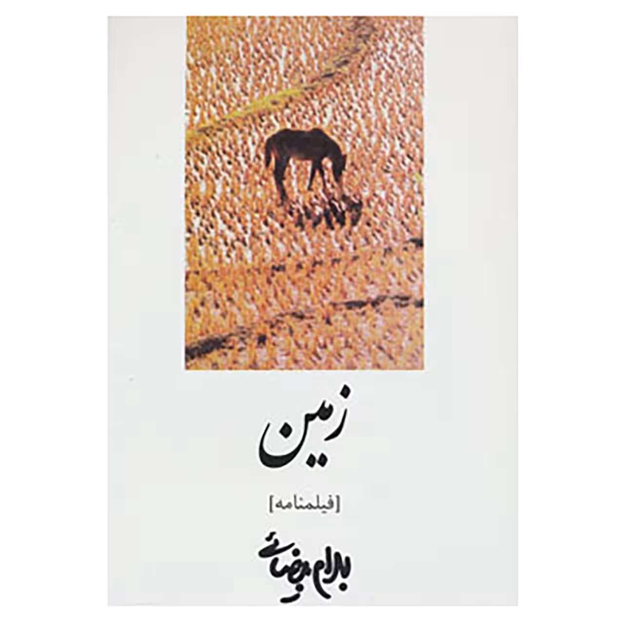 کتاب فیلمنامه زمین اثر بهرام بیضایی
