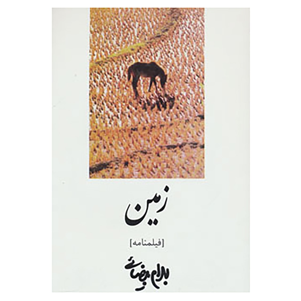 کتاب فیلمنامه زمین اثر بهرام بیضایی