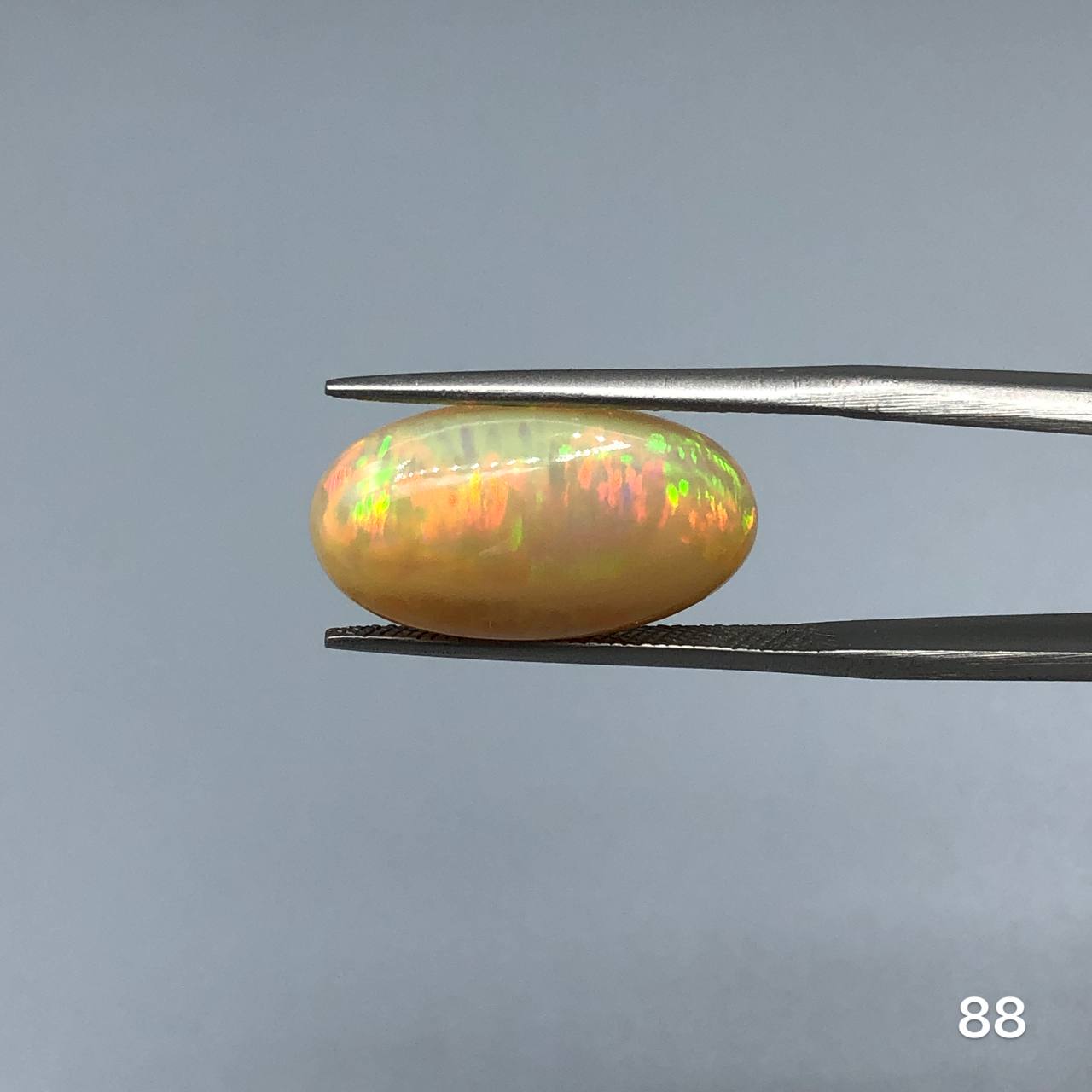 اوپال کافی کالر طبیعی بیضی شناسه 8256