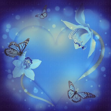 خرید و دانلود عکس Flower-Part-9 کد 18413 | پیک فاکس | Pic Fox