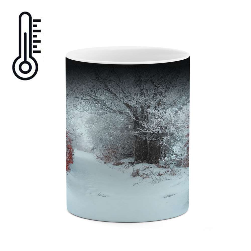 ماگ حرارتی کاکتی طرح منظره برفی مدل mgh14966