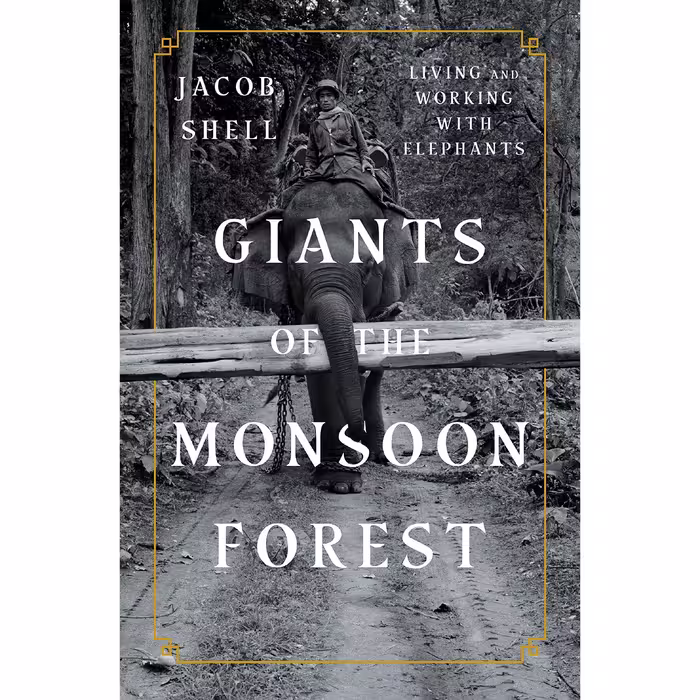 کتاب Giants of the Monsoon Forest اثر Jacob Shell انتشارات W. W. Norton &amp; Company