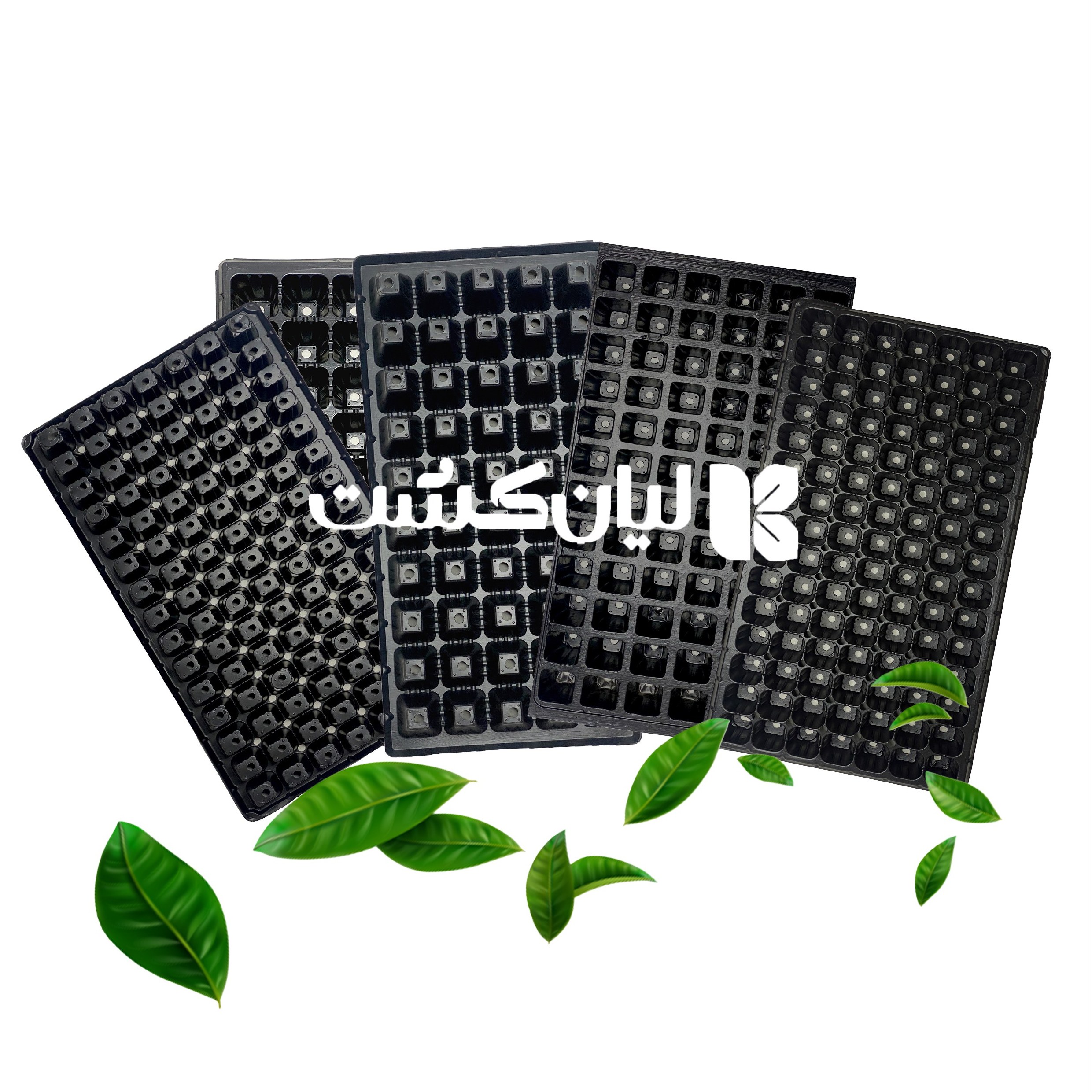 بسته 20 عددی سینی نشا  105حفره ای