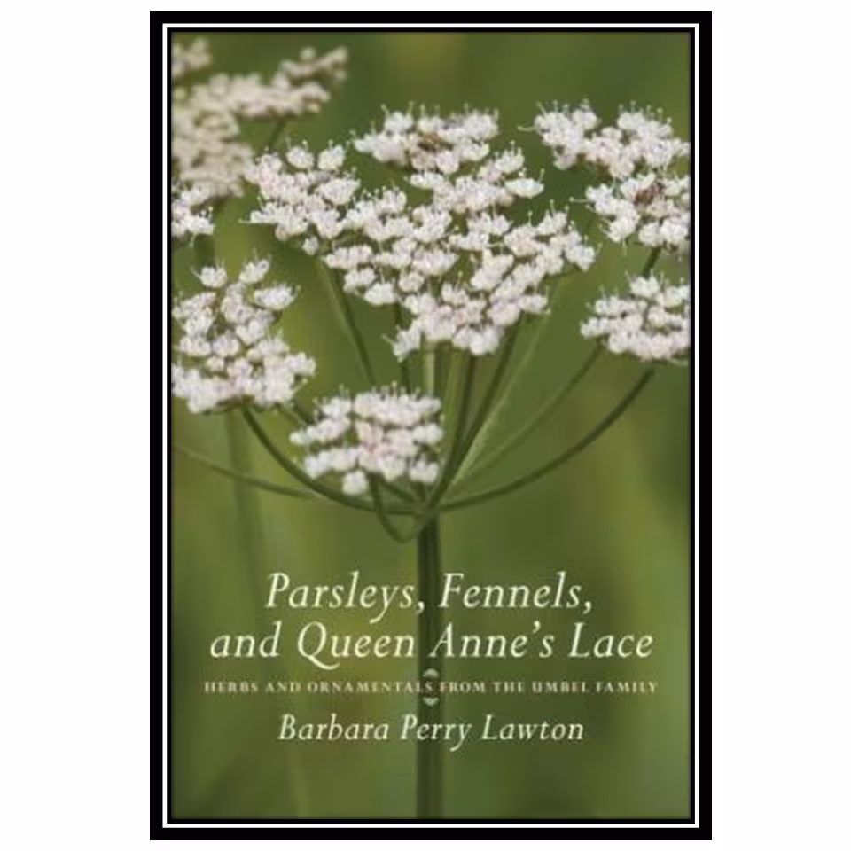 کتاب Parsleys, Fennels, and Queen Anne's Lace: Herbs and Ornamentals from the Umbel Family اثر Barbara Perry Lawton انتشارات مؤلفین طلایی