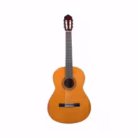 گیتار Yamaha C40