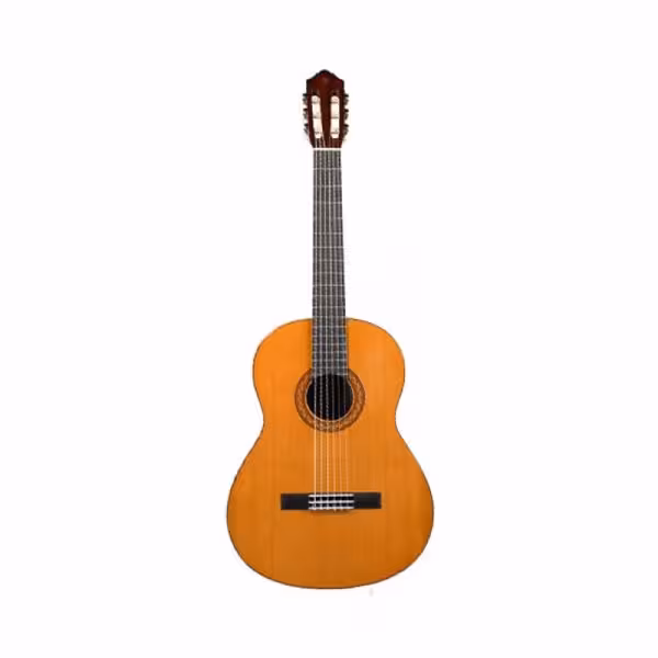 گیتار Yamaha C40