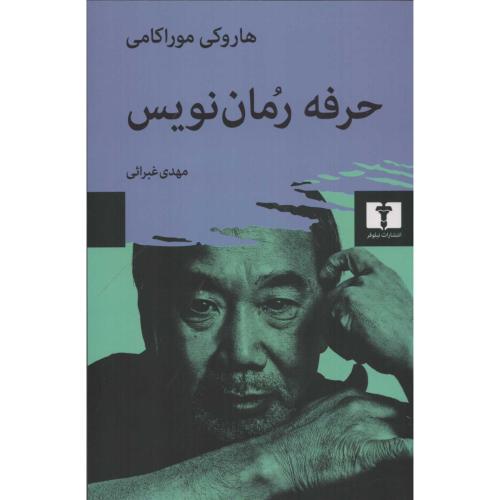 حرفه رمان‌نویس