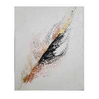 تابلو نقاشی اکریلیک طرح پر کد135