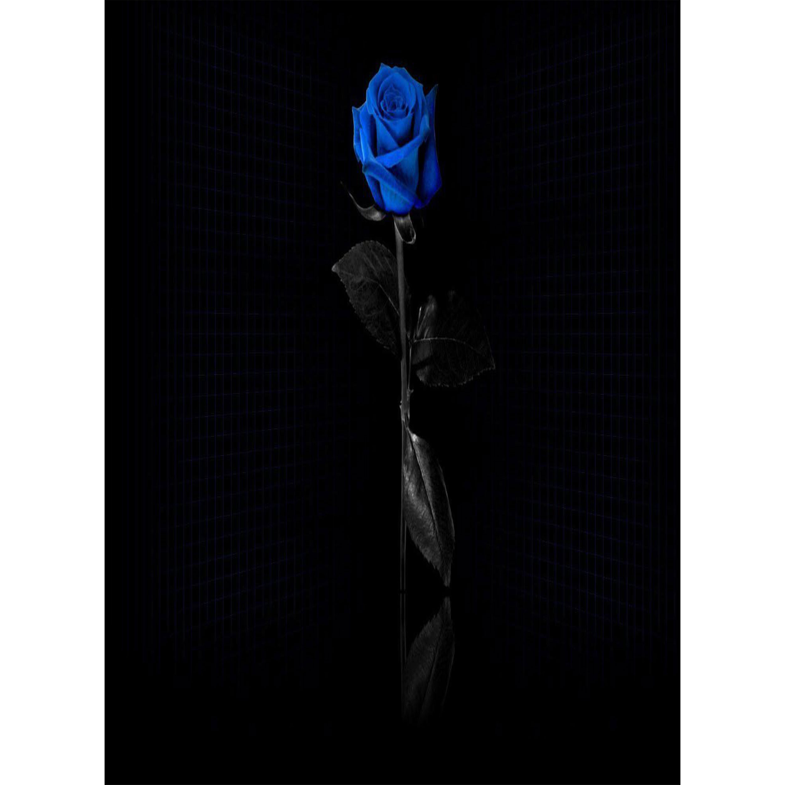 تابلو شاسی طرح گل رز آبی مدل T1374