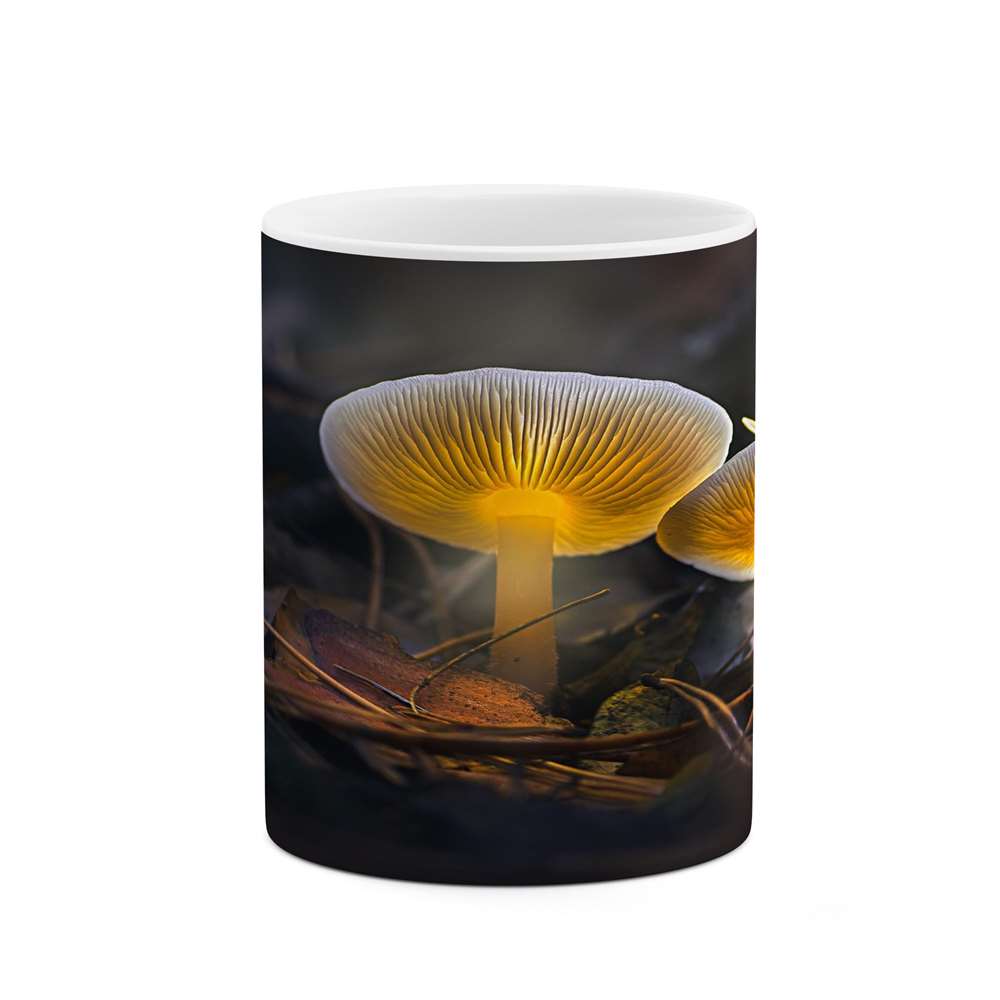 ماگ کاکتی طرح فانتزی مدل mgs14572