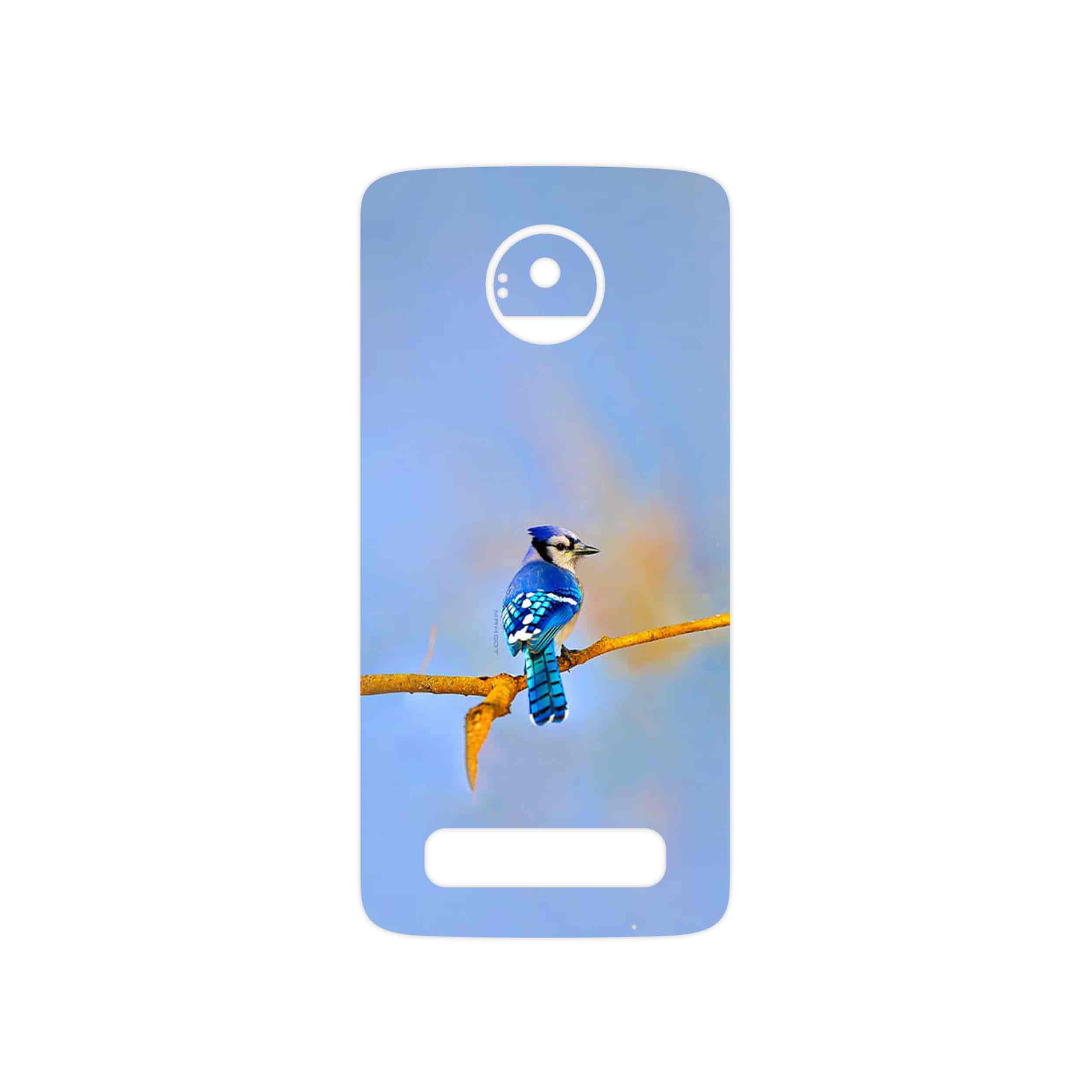 برچسب پوششی ماهوت مدل Cyanocitta cristata مناسب برای گوشی موبایل موتورولا Moto Z