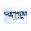 برچسب پوششی ماهوت مدل Penguin مناسب برای تبلت اپل iPad Air 2013 A1474