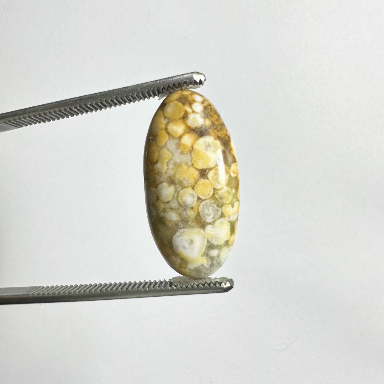 کبرای جاسپر طبیعی اندونزی 235201