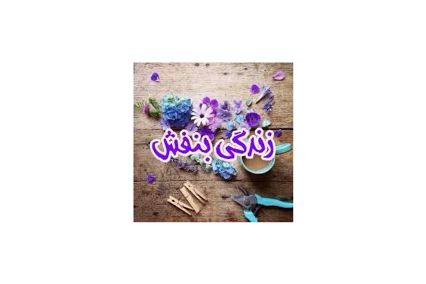 رمان زندگی بنفش من PDF - کتابخانه مجازی واتیکان