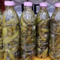 خیار شور کیلویی از 1 کیلو به بالا