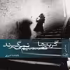 کتاب گربه ها تصمیم نمی گیرند اثر ناتاشا امیری نشر ثالث