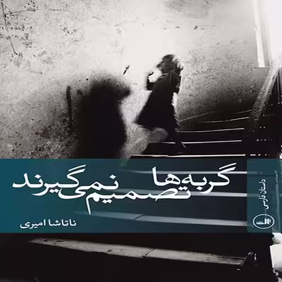کتاب گربه ها تصمیم نمی گیرند اثر ناتاشا امیری نشر ثالث