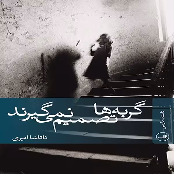 کتاب گربه ها تصمیم نمی گیرند اثر ناتاشا امیری نشر ثالث