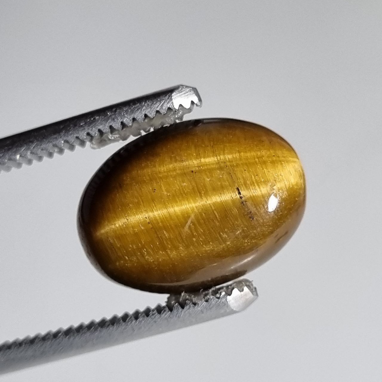 چشم ببر طبیعی بیضی (تایگرآی) 7898