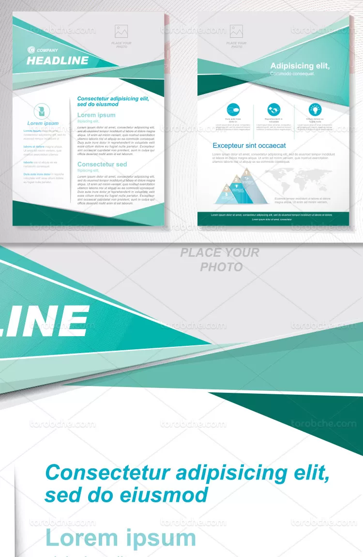 وکتور بروشور کسب و کار سبز | گرافیک با طعم تربچه