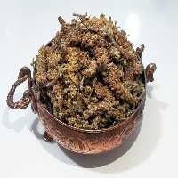 سماق دانه تویسرکان - یک کیلوگرم