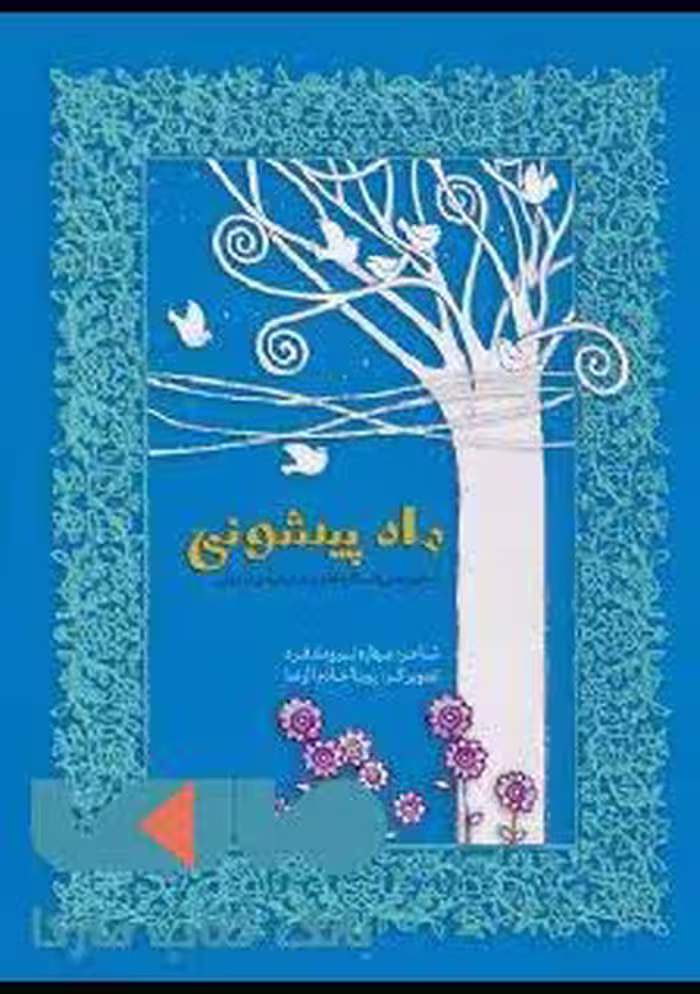 مجموعه افسانه های دخترونه ی ایرونی 2 (ماه پیشونی) نشر ویدا