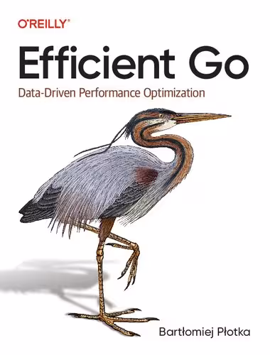 خرید و دانلود نسخه کامل کتاب Efficient Go: Data-Driven Performance Optimization