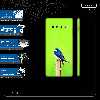 برچسب پوششی ماهوت مدل Bird Swallow-FullSkin مناسب برای گوشی موبایل سامسونگ Galaxy S10
