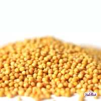 خردل دانه زرد اعلا 500 گرمی اعتماد(دانه خردل ناساب)  - حذف شده