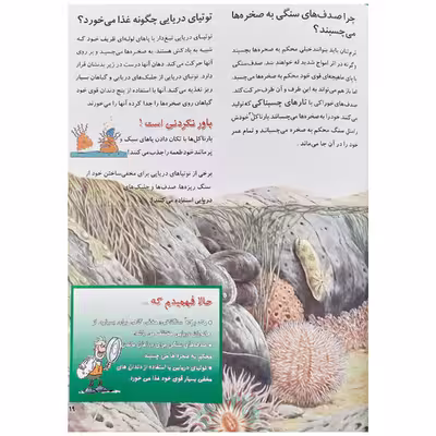 کتاب از من بپرس چرا حیوانات ساحل اثر آنجلا ویلکز انتشارات عروج اندیشه جلد 7
