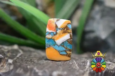 صدف خاردار ترکیبی